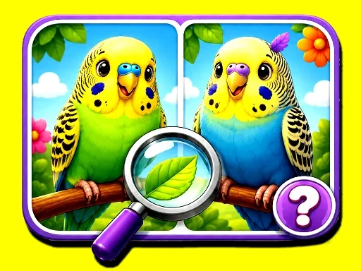 Budgie Spot the Difference - 5853